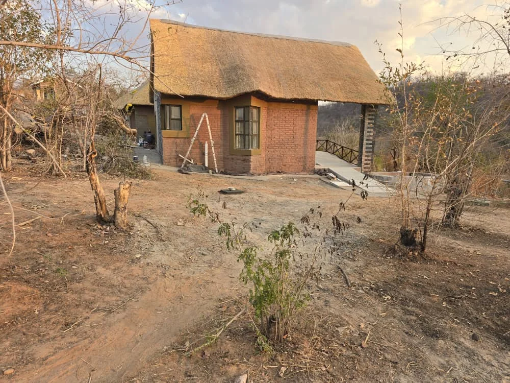 A lodge under its new thatch, poles still standing round it